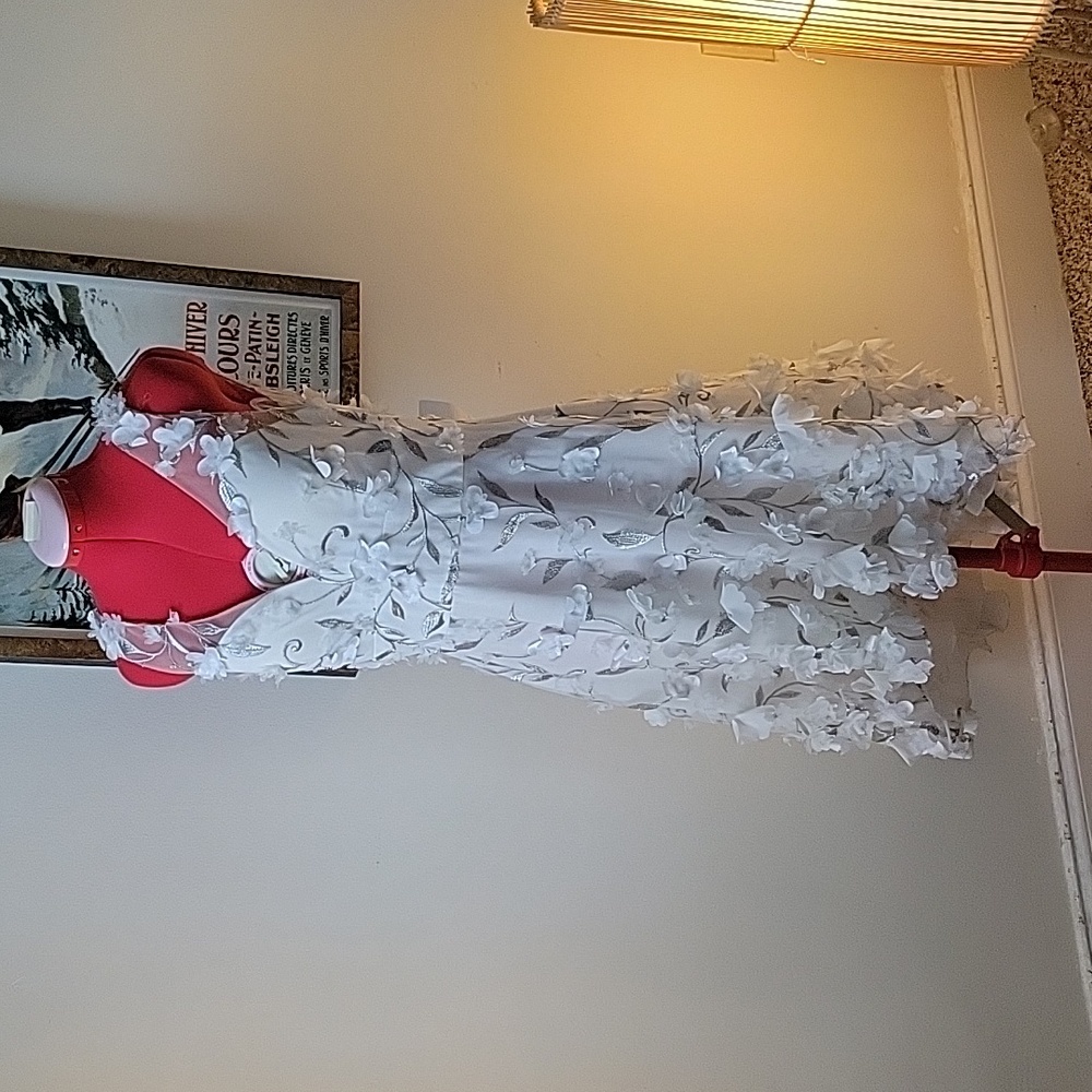 3D Floral White and Silver Dress